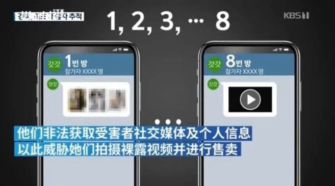 看完N号房和《金智英》，韩国这26万男人真是*兽禽**不如