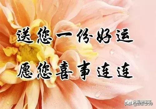 今日重阳愿天下父母健康长寿,重阳节之日愿天下父母健康长寿