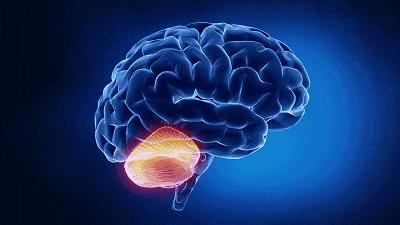 后脑勺痛、并伴有恶心想吐？可能不仅仅是简单的神经性头疼，重视