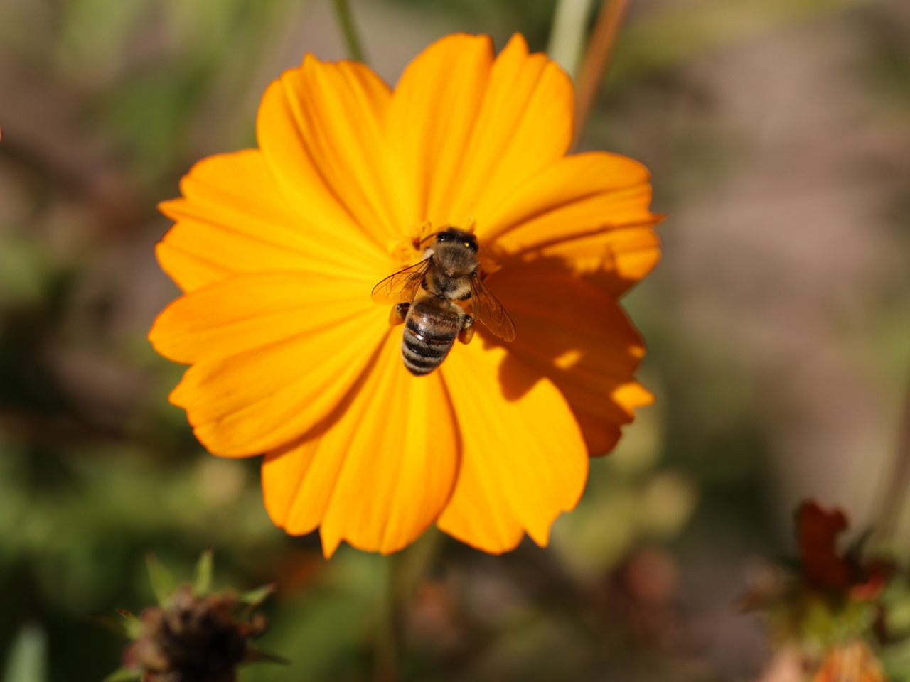 佳能rf100-500mm参数,佳能rf-s18-45mm测评