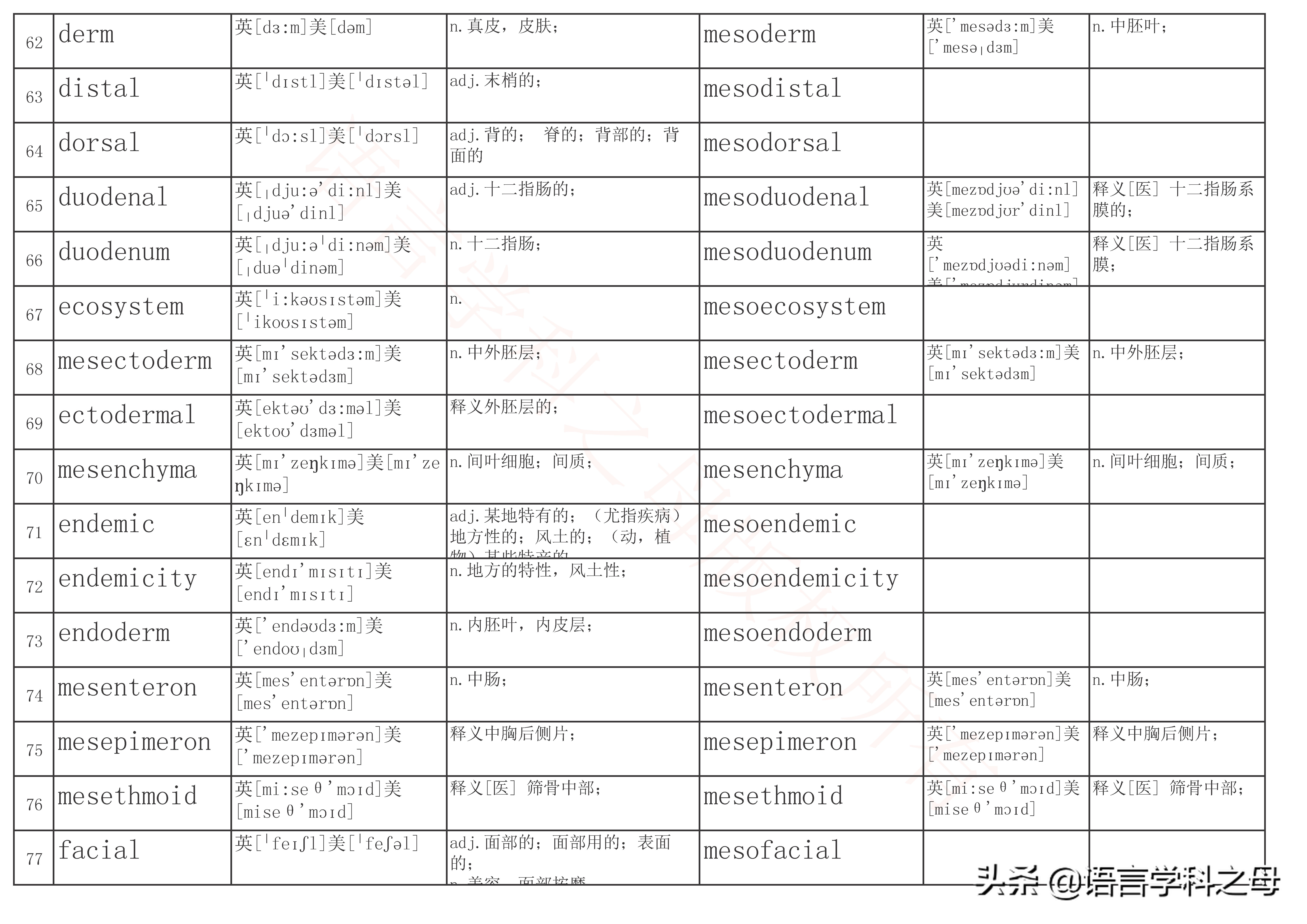 mid作前缀的单词大全,mid前缀的单词