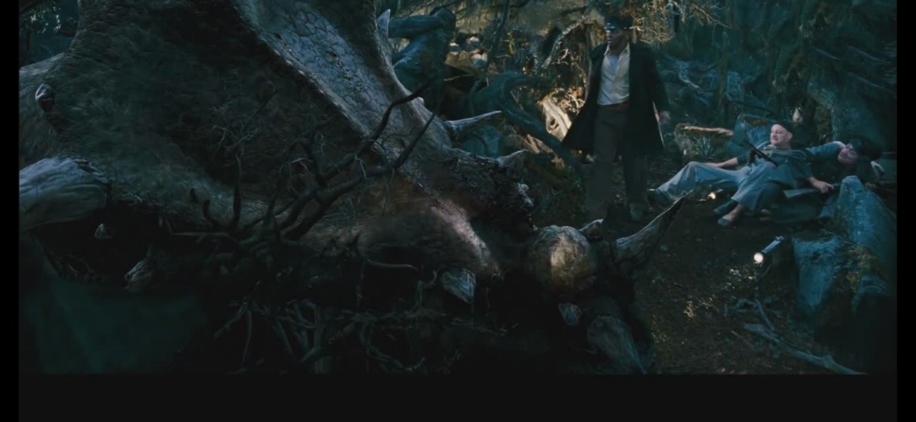 金刚电影背后的故事,金刚电影体现出爱情的片段