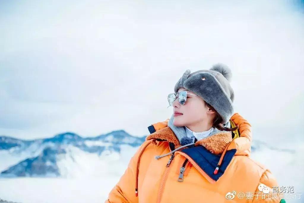 袁咏仪戴劳力士,袁咏仪卡地亚珠宝图