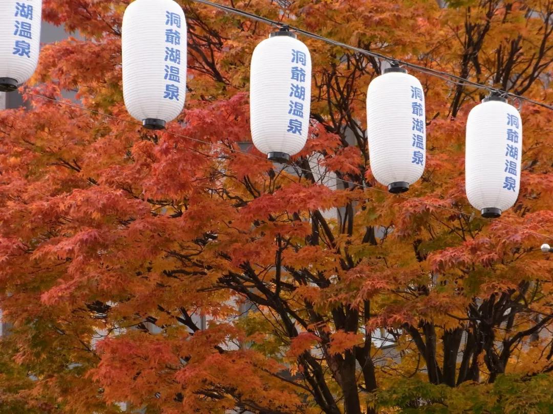 2020年1月最值得去的旅行地,这才是一月份最值得去的旅行地