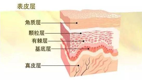 省百万|毁容烂脸、玉石缩阴!明星竟靠着这些反智产品赚2.5亿