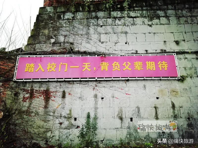 自贡桃花山学校,2014年自贡市桃花山学校