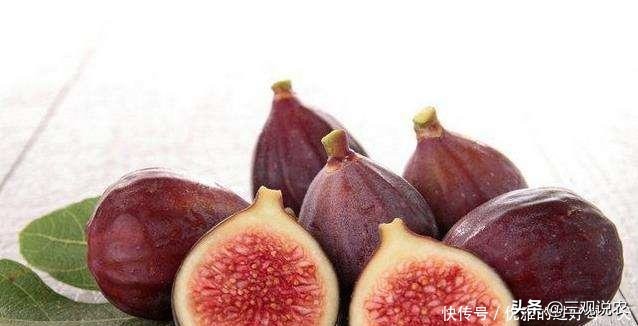 种植无花果前景分析报告,无花果种植具有较好的经济效益