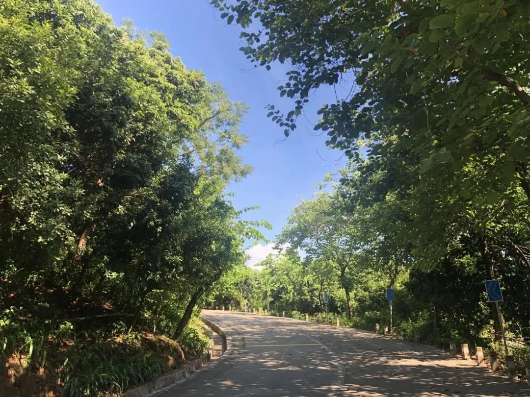 在大岗逛了一天，朋友决定买下这家店铺