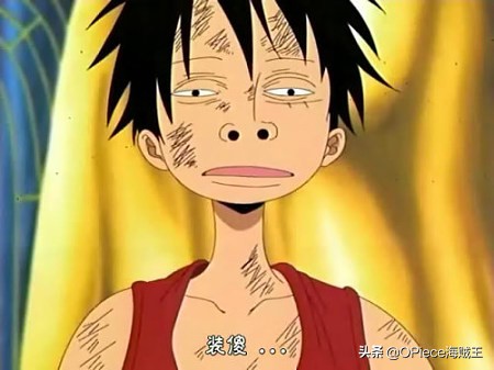 海贼王所有人物关系,海贼王唯一敢和路飞拼背景的人