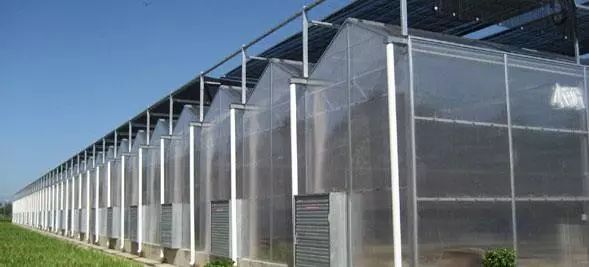 10种常见温室大棚优缺点大合集,选大棚看这一篇就够了