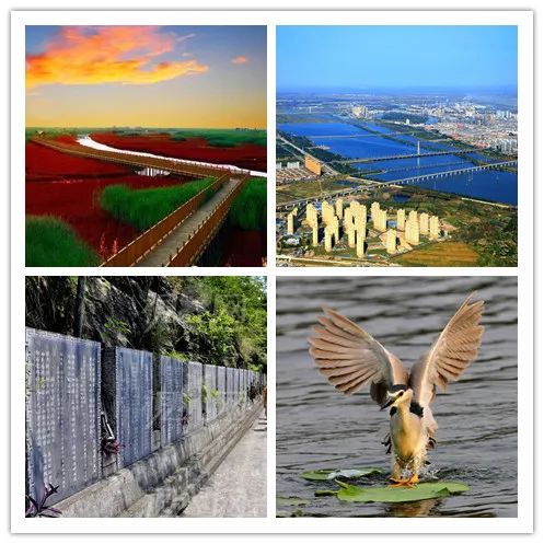 双台子区招商,双台子产业园区规划