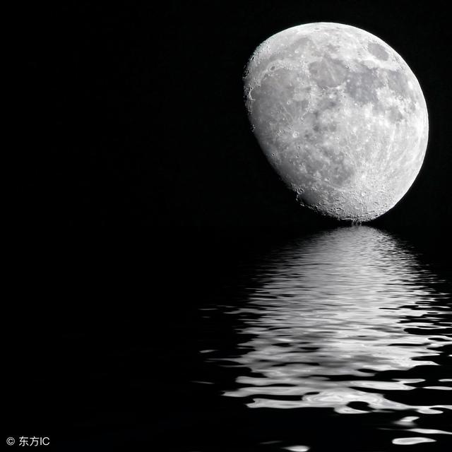 月夜杜甫古诗视频大全,月夜古诗朗诵视频播放