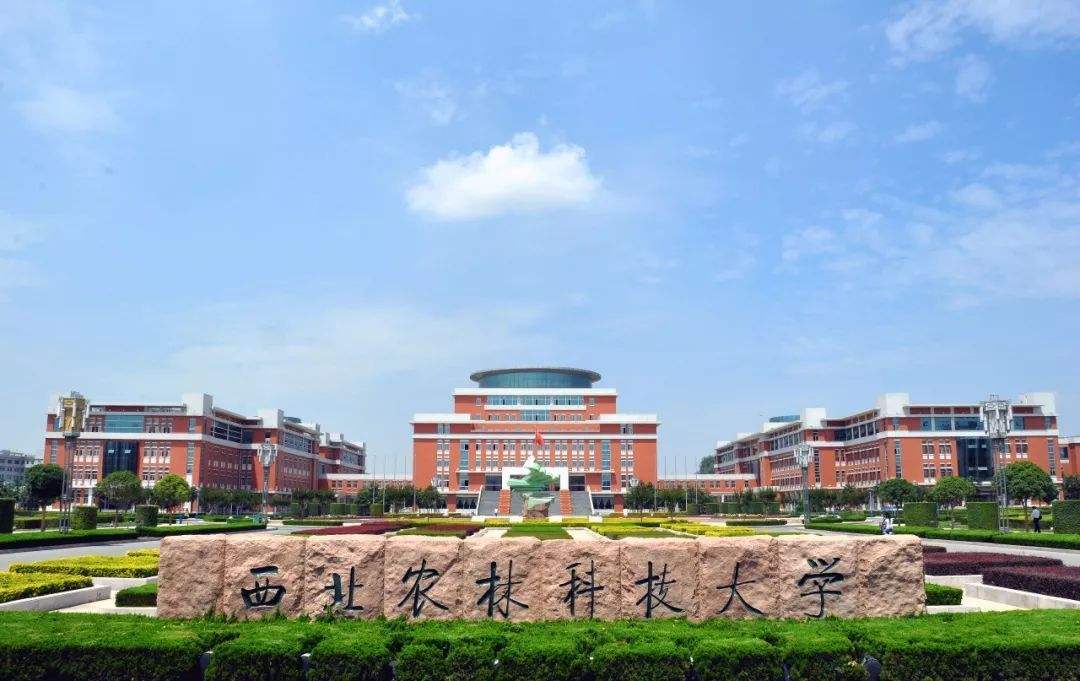 西北54所高校排名公布,兰州大学跻身前三,西安电子科大排第4