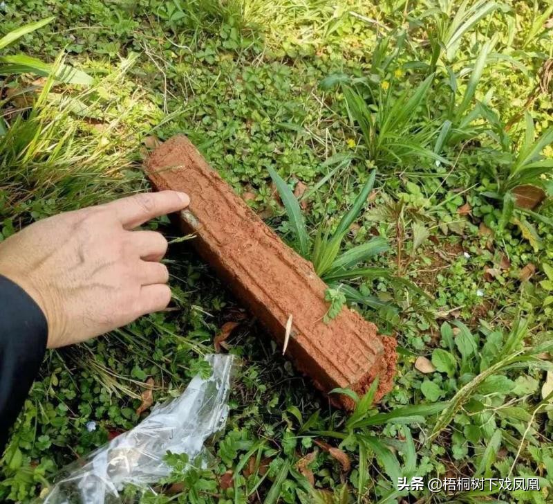 盗墓如何找团队,盗墓阵容搭配