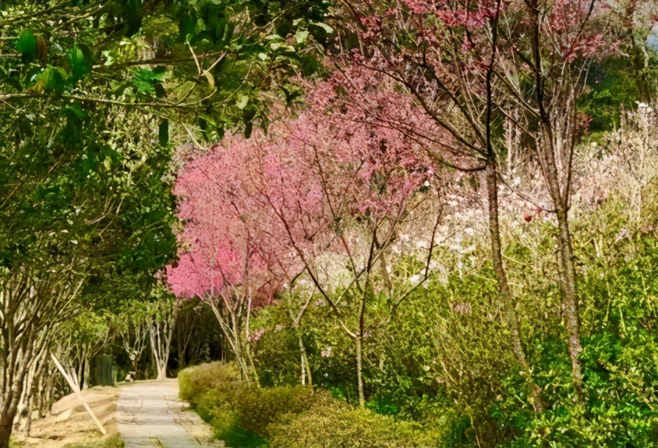 *光春**正好,快来搭乘开往春天的brt~