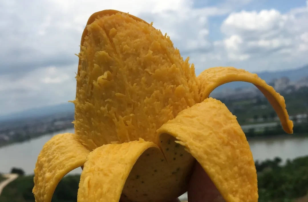 疫情防控造成红薯滞销,疫情突如其来农产品滞销