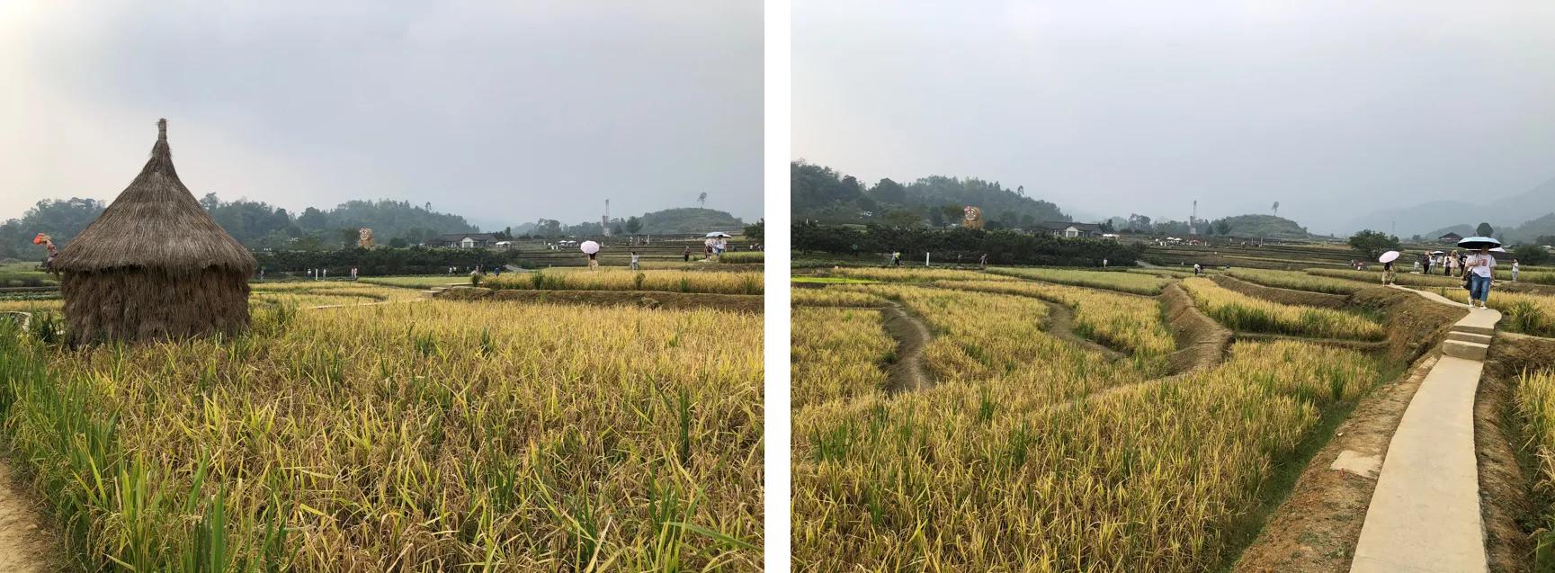 峨眉山高桥镇开发,峨眉山高桥田园生态小镇怎么样