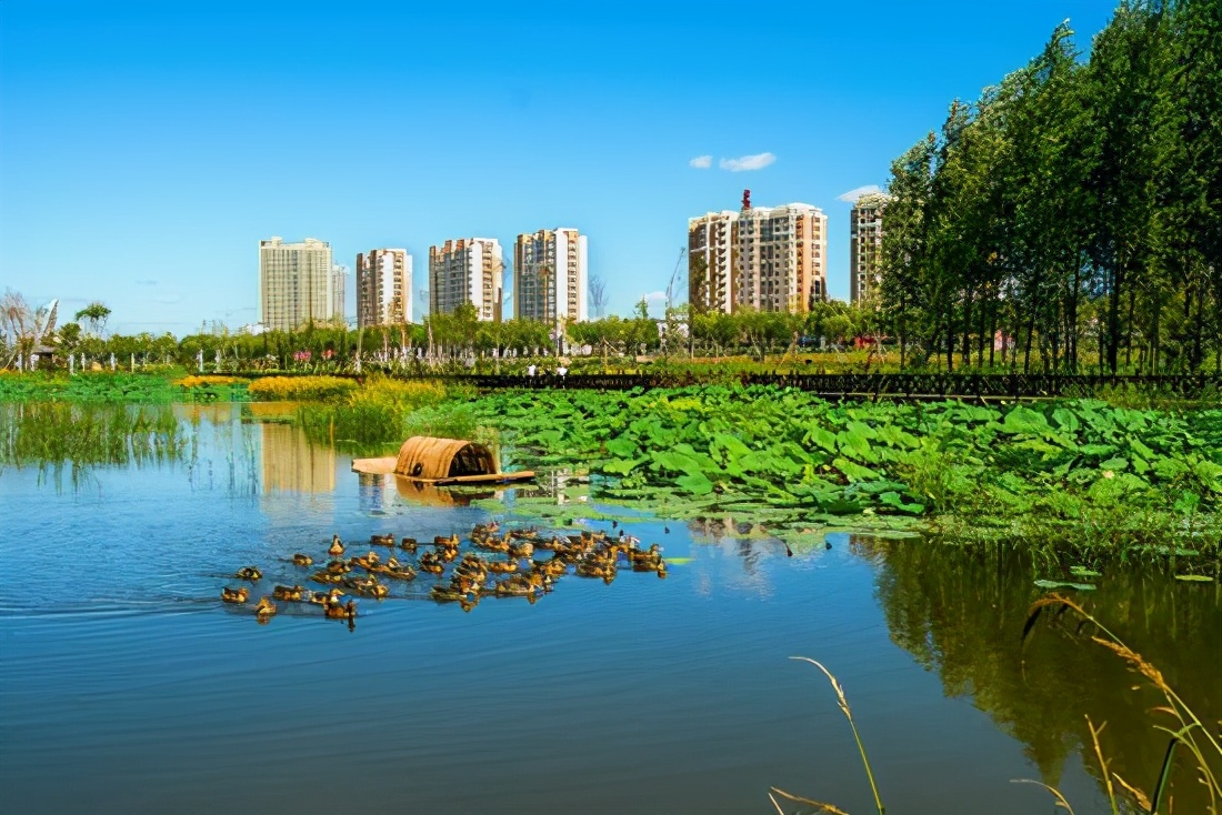 梅河口市人口2022总人数,吉林省各市建成区面积