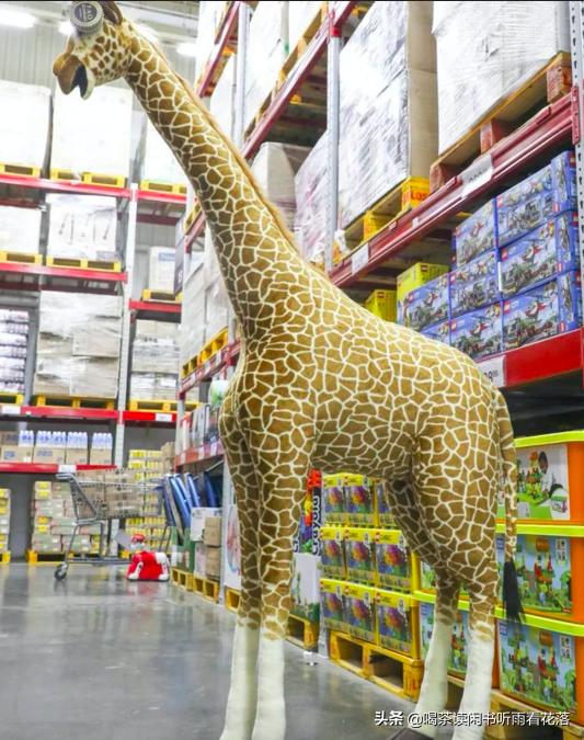 北京7000元囤货,北京最大购物中心排名