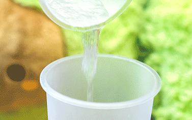 blueglass酸奶蓝色是哪款,blueglass是什么酸奶