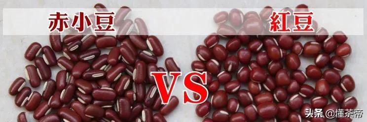 喝了祛湿气茶的排毒反应,祛湿美容养颜排毒喝什么茶