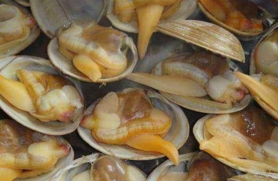 东港海鲜都是有哪些,东港最全海鲜