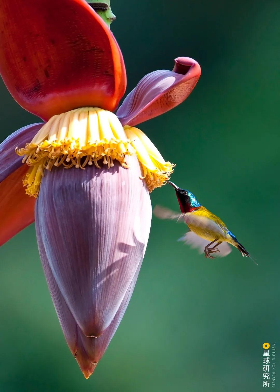 林草领域知识图谱,林草科普专业术语