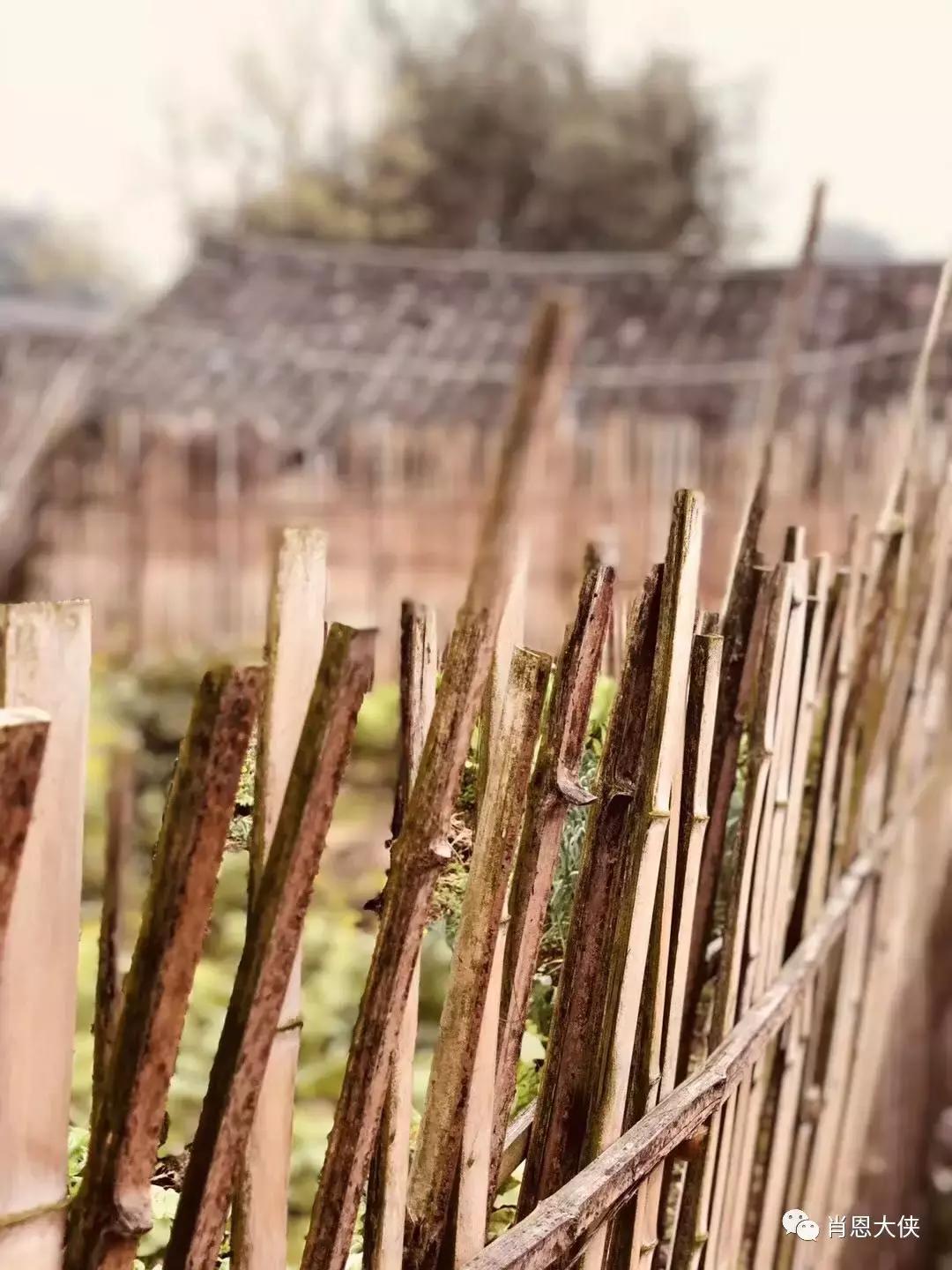一个非典型的投资人的崛起,非典型投资者的感受