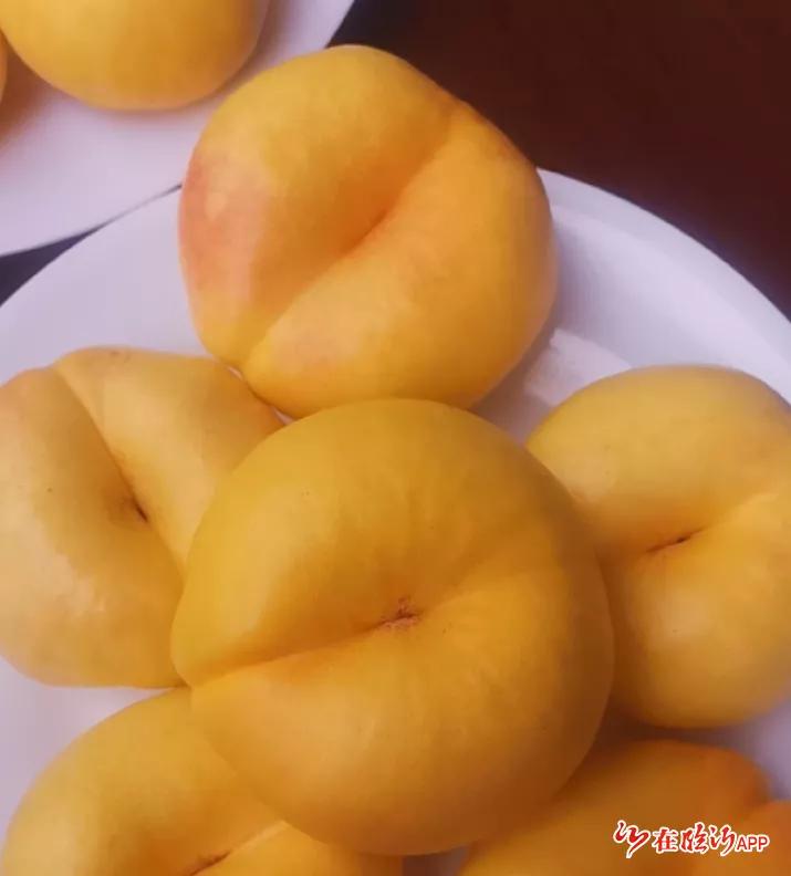 山东临沂蒙阴甜蜜桃,蒙阴蜜桃代言