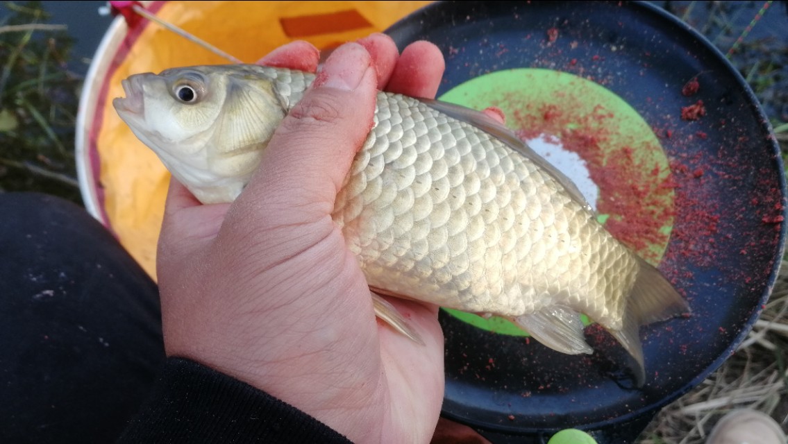 双铅钓组的制作方法和视频,双铅钓组怎么做