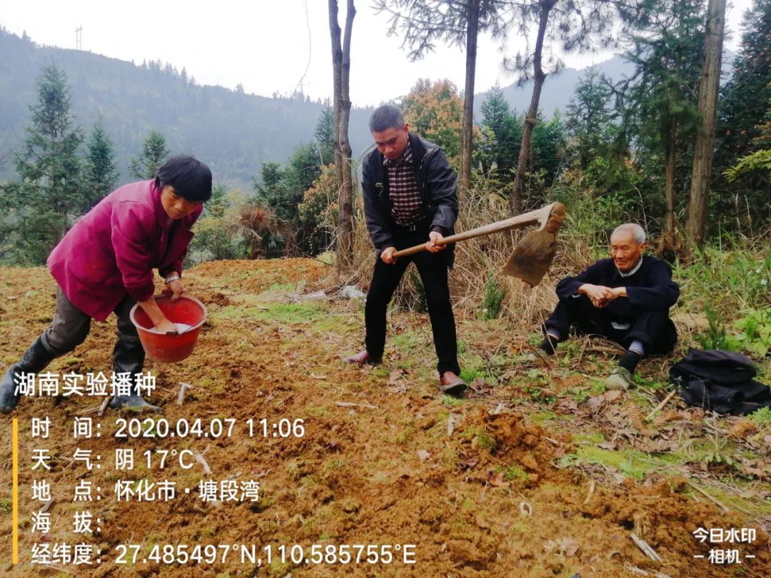 正大种业有哪几个,正大种业县级代理商