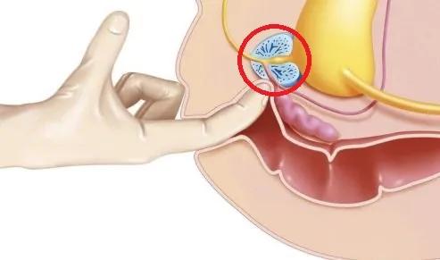 骑车超一小时对身体有什么害处,前列腺对心脏的危害