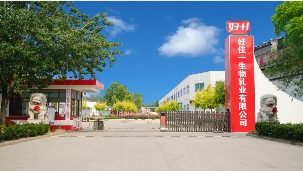 走亲访友送佳品,我选好佳一