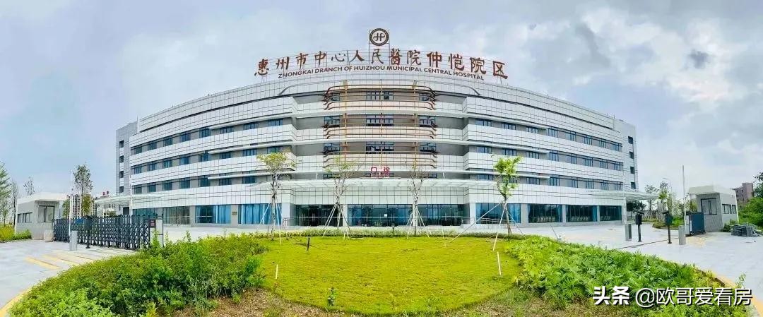 惠州仲恺区以后发展怎么样,仲恺区2020年gdp