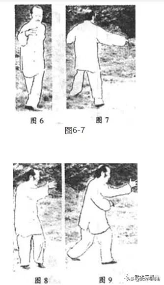 纯阳拳龙心掌视频,纯阳八步龙心掌