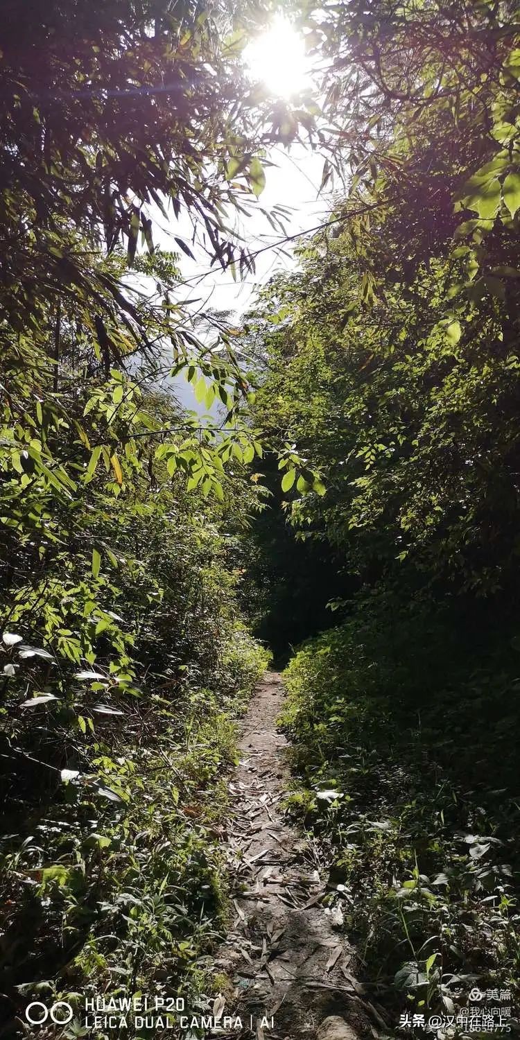 汉中圈子崖天坑,汉中镇巴圈子崖天坑旅游攻略