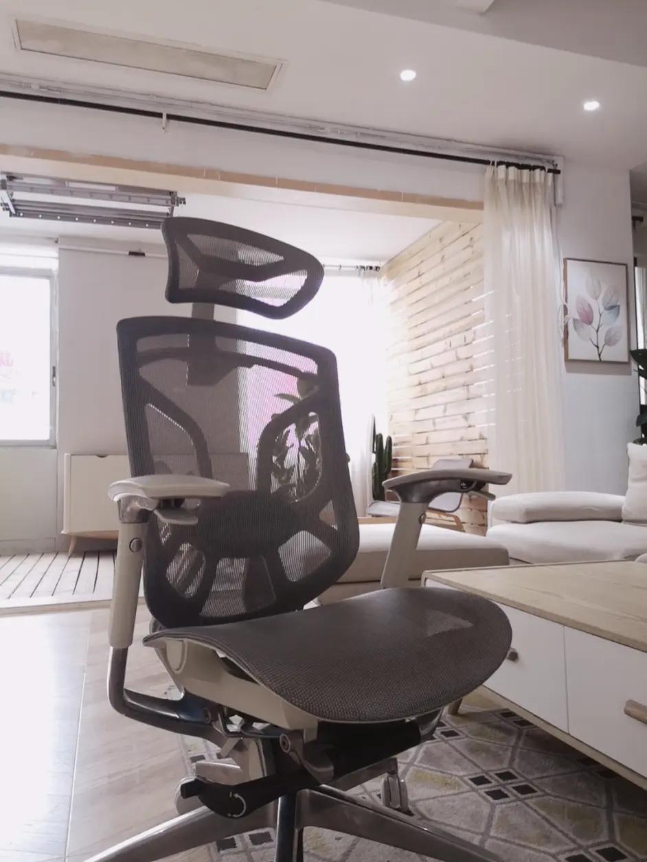 ergoup有谱人体工学椅,人体工学椅评测ergoup