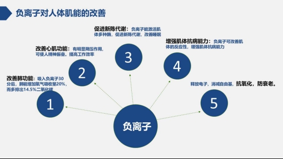释放负离子除甲醛的产品,释放负氧离子产品