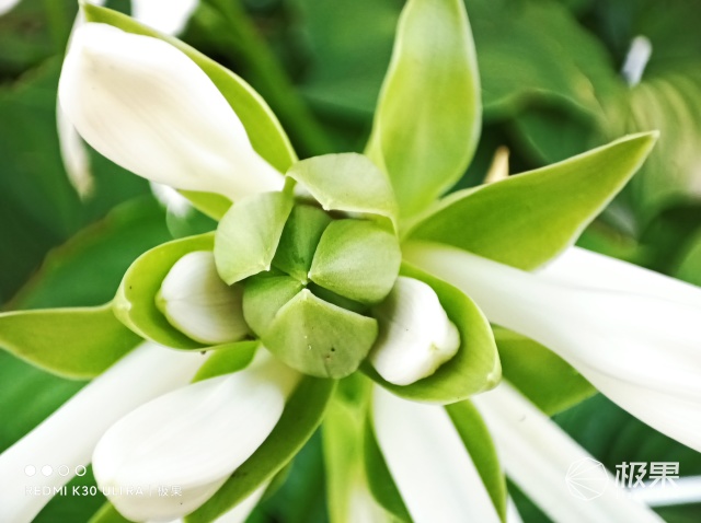 redmik30至尊纪念版真实体验,redmik30至尊纪念版测评