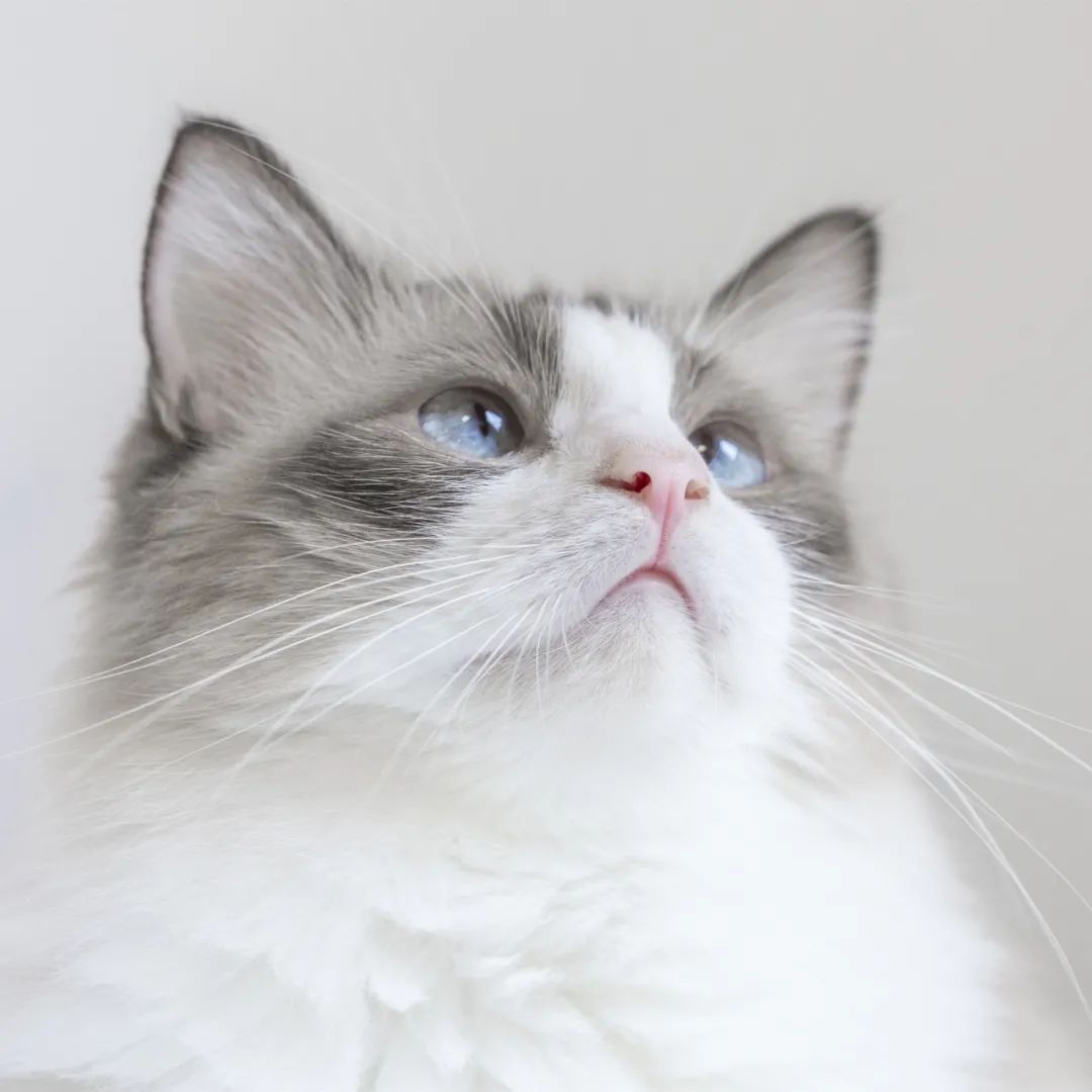 证件过期手机银行怎么处理,银行预留证件信息过期