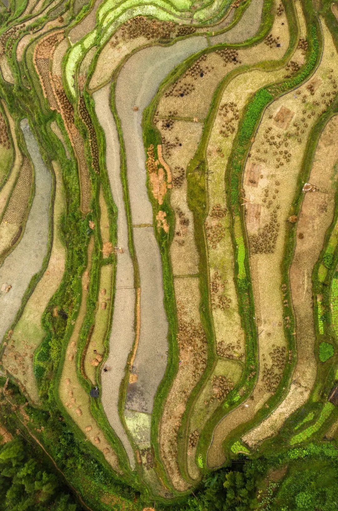 农造田野丨总有一根神经通往乡野|月亮山百里梯田