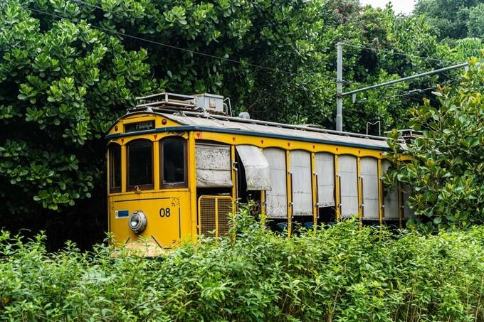 再次拥抱巴西，千万种风情想与你诉说