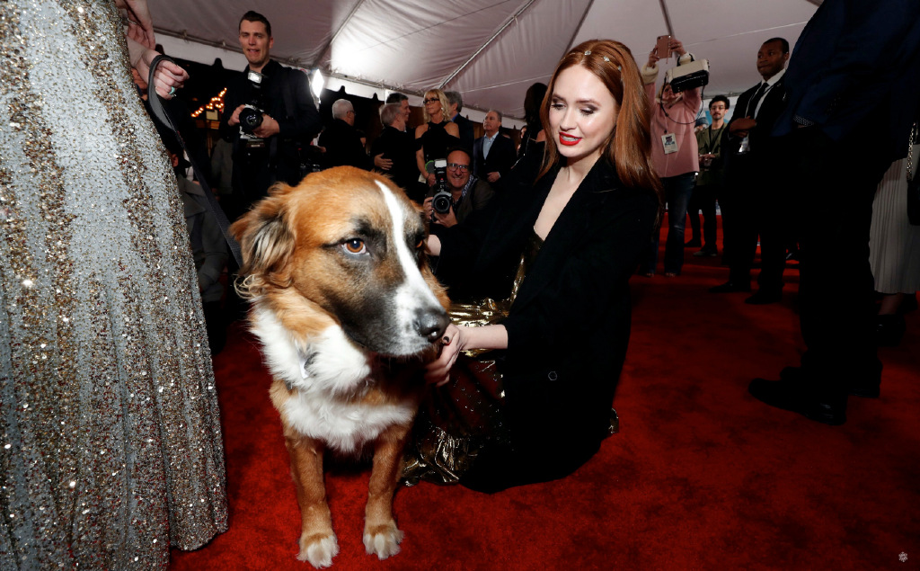 星云扮演者凯伦·吉兰长胖了,星云凯伦吉兰最新写真