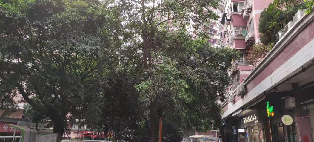 东晓南板块怎么样,东晓南地铁上盖楼盘