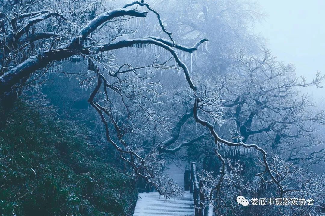 最新风景摄影小品欣赏,娄底景观小品