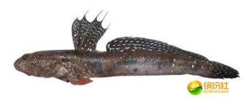 舟山海鲜攻略2天1晚住宿自由行,舟山最好的海鲜