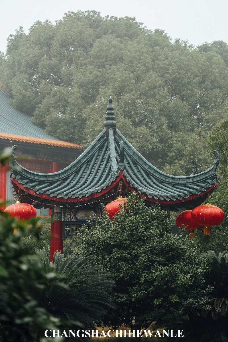 马栏山有什么好吃,马栏山最好的美食