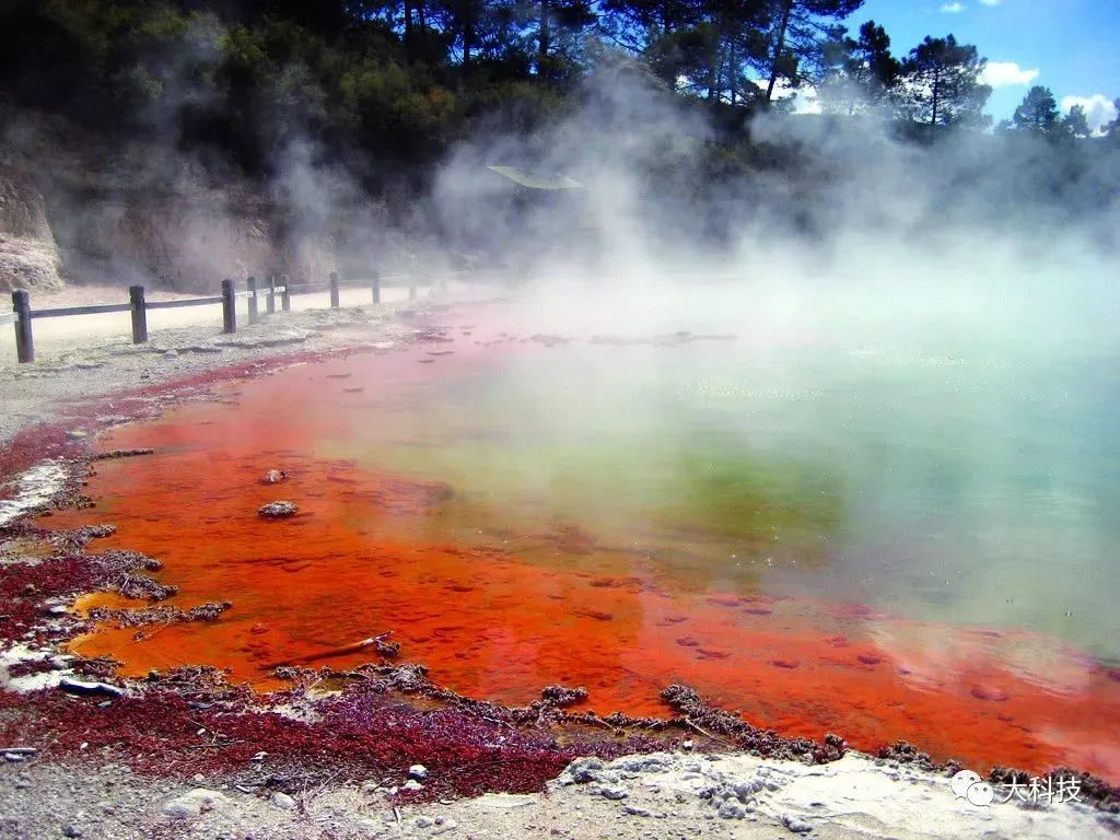 美国多明格斯海峡出现恶臭！居民闻后出现不适，吸入硫化氢咋办？