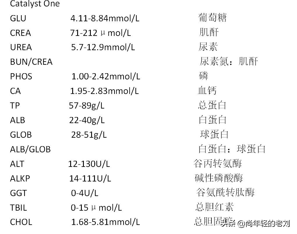 犬猫五分类血常规检查什么,犬猫血常规三分类怎么操作