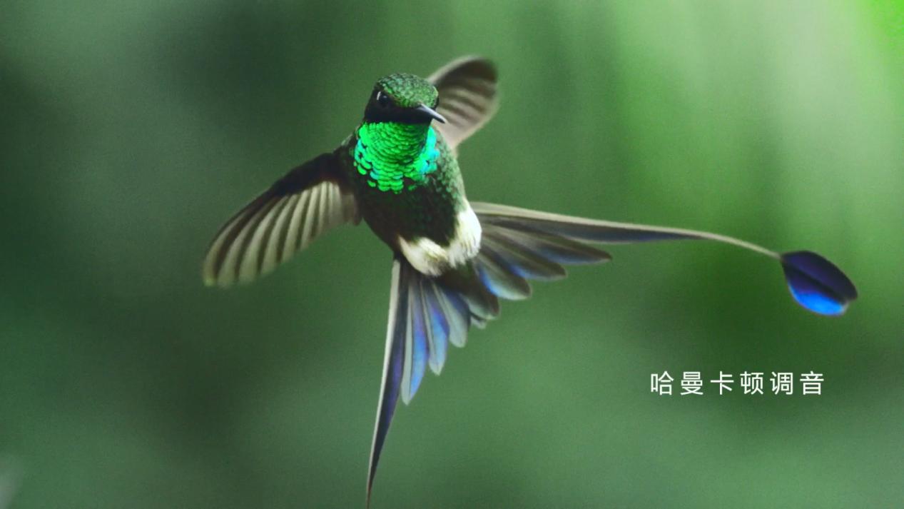 声音效果超好的平板,华为平板m6视频效果